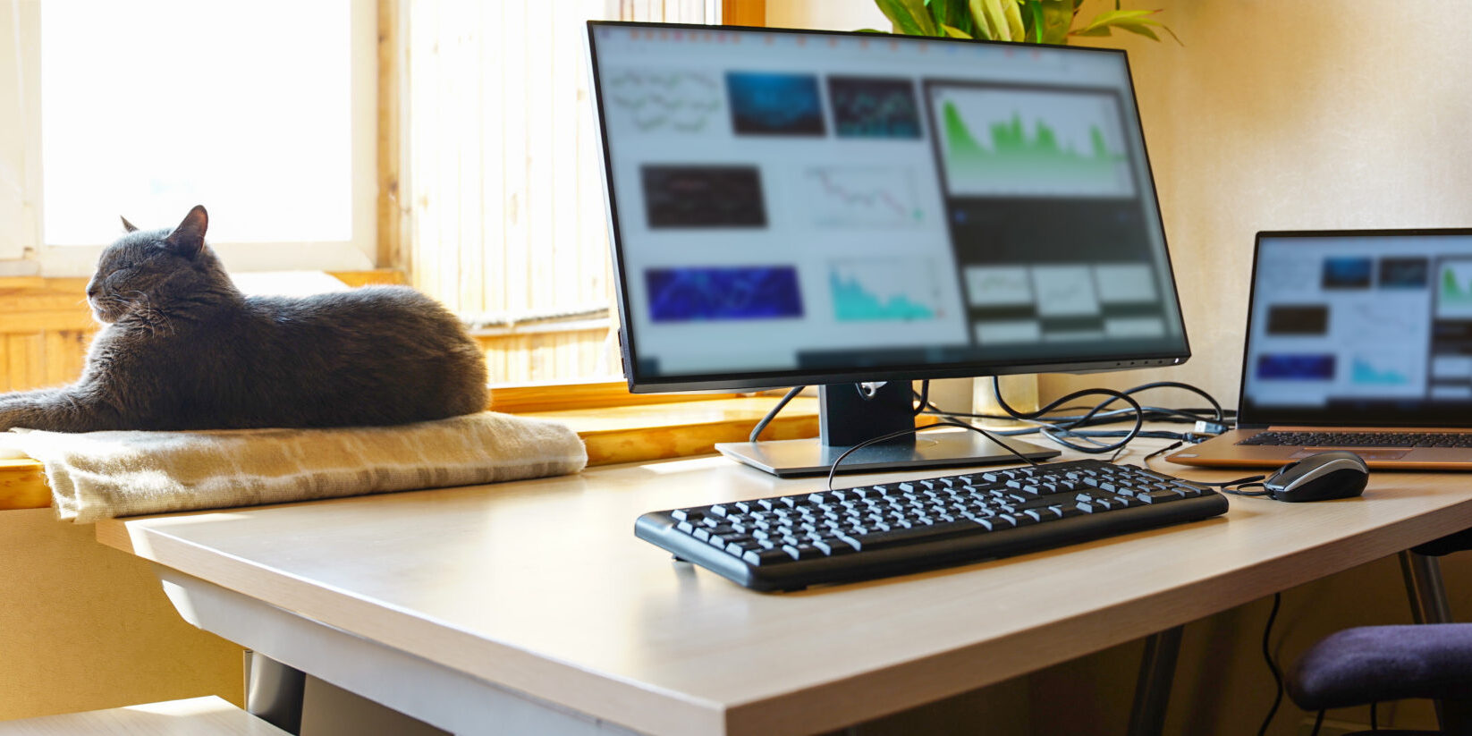 Office,At,Home,With,It,Equipment,And,Online,Communications.,Working